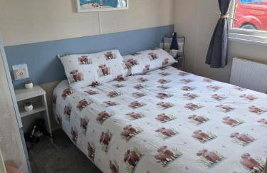 8 Berth Caravan at Blue Dolphin East coast - Foto 6
