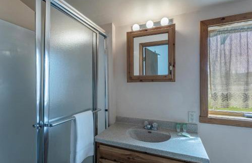 Honey Bear - Foto 15