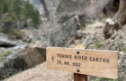 Cozy Cabin Perfect for a Romantic Escape with BBQ in Dayton, Wyoming - Foto 6