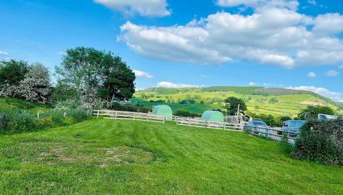 Green Dragon and Kitchen Pod - Sleeps 2 & Parking - Foto 4, Garden, Garden view