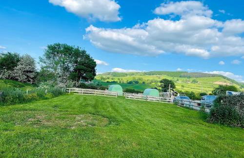 Green Dragon and Kitchen Pod - Sleeps 2 & Parking - Photo 4