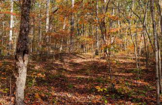 Outdoors Sleeps7 Family Getaway Fun Arcade Villa - Foto 50