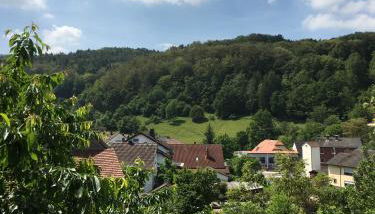 Haus Sonnenschein - Foto 2, Garden view