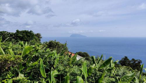 Ocean View Cedros - Foto 4