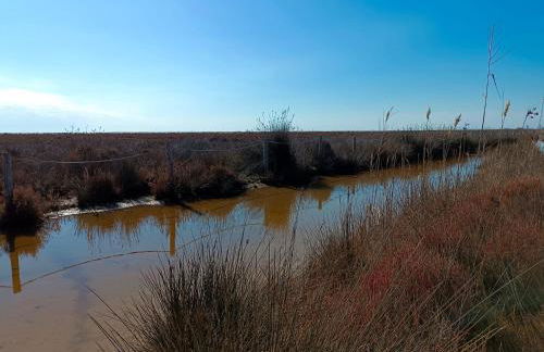 Rincón del Delta, apartamento en el Delta del Ebro, Playa Trabucador Amposta, Tarragona - Foto 20