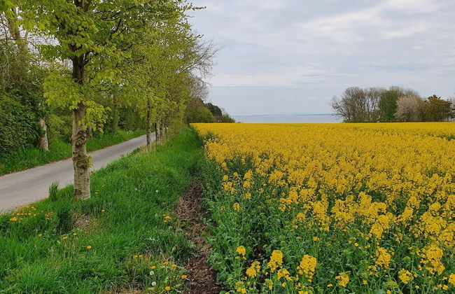 4 Person Holiday Home in Nykobing M-by Traum - Foto 8