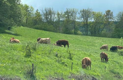 Appartement 6 couchages, Tout confort, pieds des pistes, ménage & linge de maison inclus - Foto 26