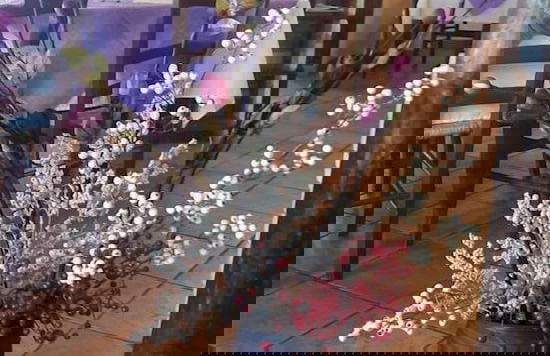 Agriturismo Manitta - Foto 46