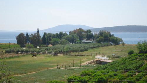 Christina Apartments - Foto 2