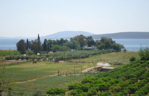 Christina Apartments - Foto 2