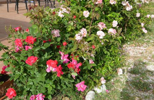 Nonna Alda - Foto 15