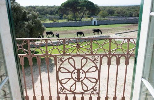Masseria Tagliente - Foto 34