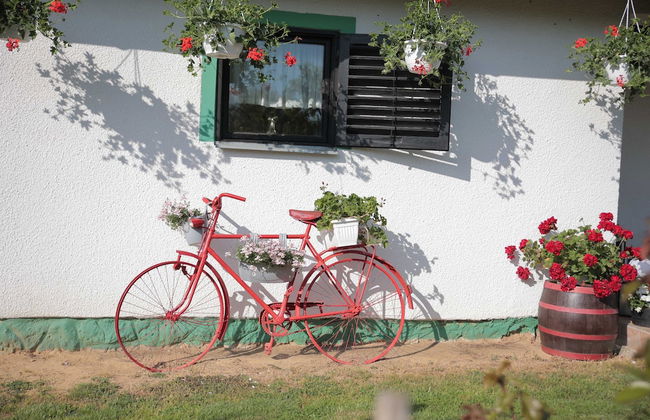 Apartment Amigo - Foto 40