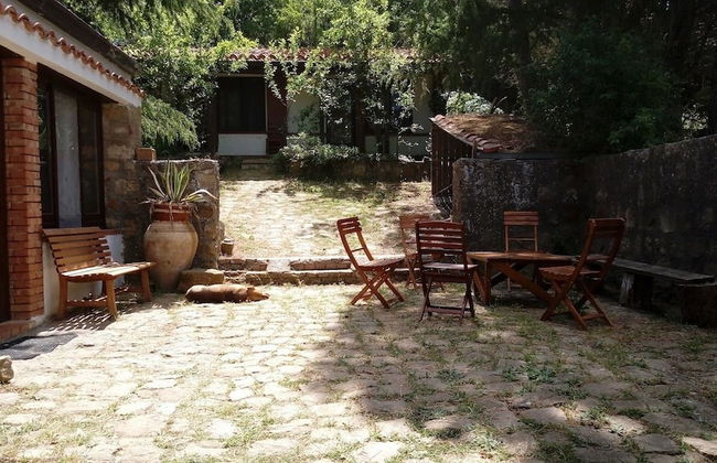 Agriturismo Bosco Pianetti - Foto 14