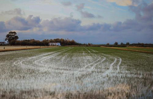 La Casita del Poble Nou del Delta - Foto 22
