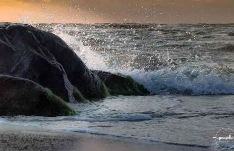 Residence Black Eagle Lubmin Strand - Foto 146