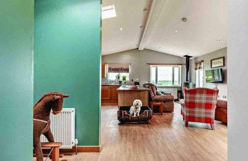 Drovers Lodge, farm retreat in rural Lanarkshire, family and pet friendly, onsite craft distillery, perfect location for exploring central Scotland - Foto 17