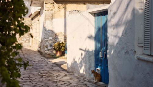 Muazzo Historic Residence, a modernized gem, By ThinkVilla - Foto 5