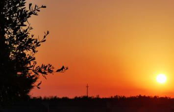 TORRE VECCHIA RELAIS - Foto 25