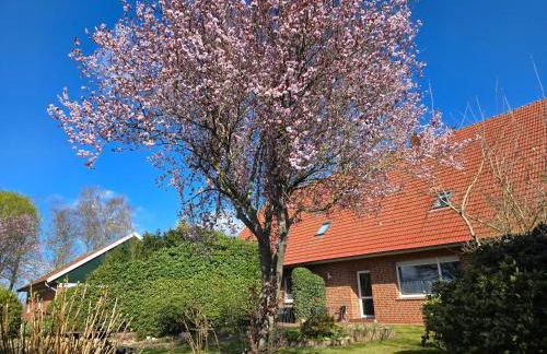 Ferienbauernhof De Slaaphoeve - Foto 22