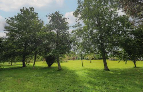 Little Willow - Foto 21