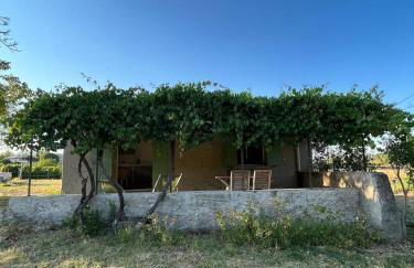 Charmant Cabanon Provençale à Montfort-sur-Argens - Foto 5