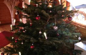 Blockhaus FerienZauber - Foto 11