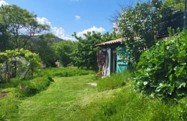 La maison d'Aude - Foto 7