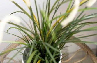 Apartment in Omisalj - Insel Krk 53119 - Foto 24