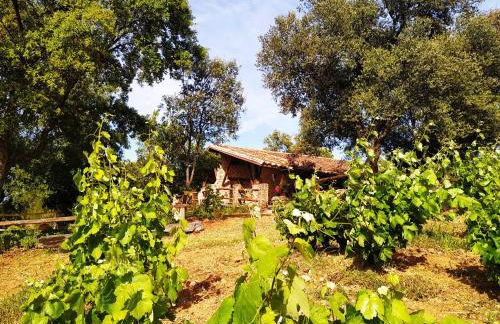 La Simona Casa Rural - Foto 47