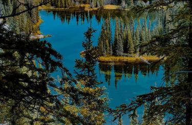 Northern Lights Log House w/ Sauna - Foto 68