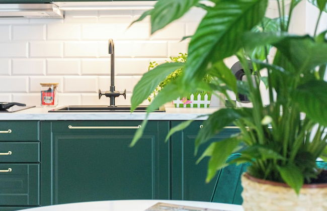 Lapwing Residence - Foto 26