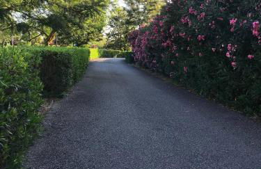 Pizzo Beach Club Luxury Apartment - Photo 13