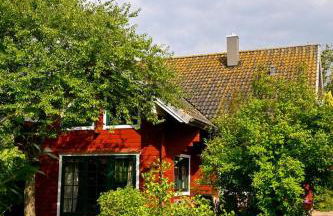 Fehmarn Ostseeferien Landliebe Fehmarn 117 - Foto 24