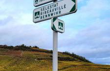 3 Stars Domaine des Vignes - Kaysersberg Vignoble - Foto 30