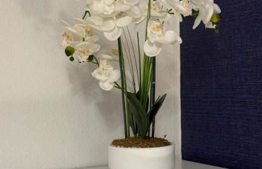 El Pasaje Apartamento - Foto 34