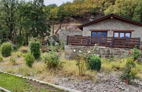 Pallas Casa - Photo 39