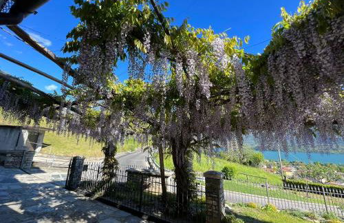 Casa Nonna Nina - Foto 29