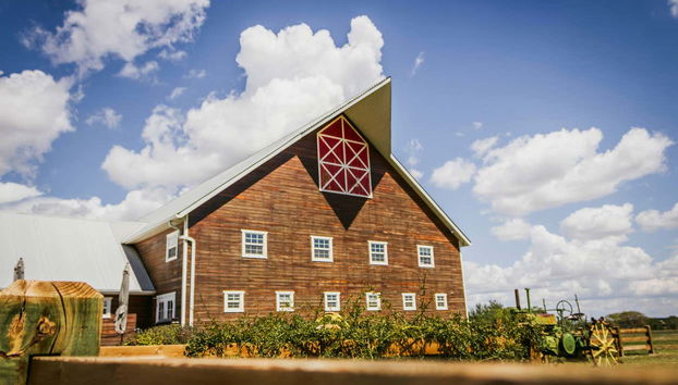 Chepe Express 3-Day Tour: Creel & Copper Canyon - Foto 2