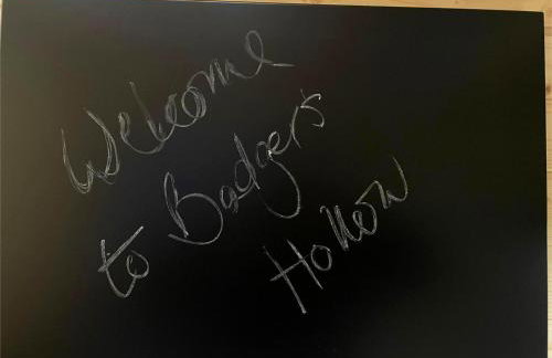 Badgers Hollow by Tiny Away - Photo 4