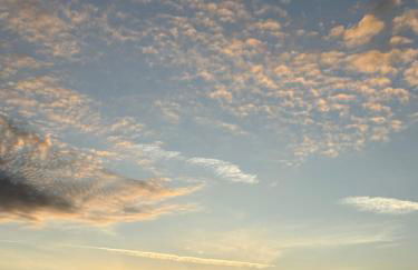 Govinda House - Foto 10