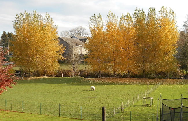 Spacious Holiday Home Near Bastogne - Foto 46