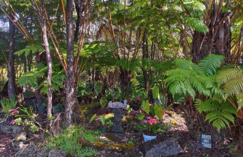 Aloha Ohia Hale 1 Bedroom Home by RedAwning - Foto 28