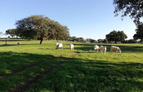 Casa do Lagar de Medelim - Foto 3