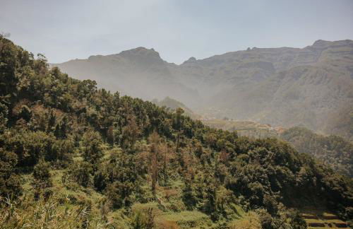 The Passion Fruit House - Photo 54