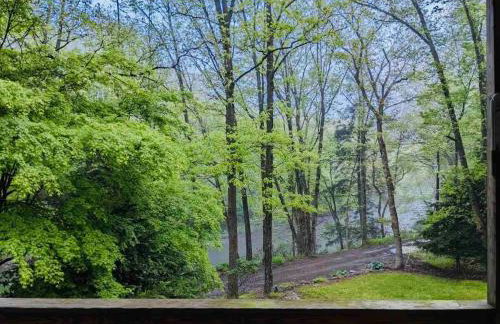 Hidden River Lodge at Hawk Mountain - Foto 42