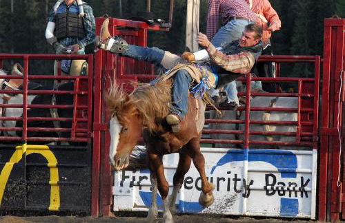 Grandma's Cabin Yellowstone Vacation Home - Foto 64
