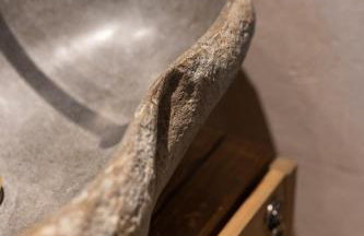 Petalia Sanctuary 1887 - Foto 24