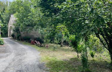 Parenthèse en Forêt - Gîte Baliveau, Sidobre - Photo 27