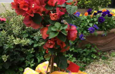 Villa Viola - Foto 25